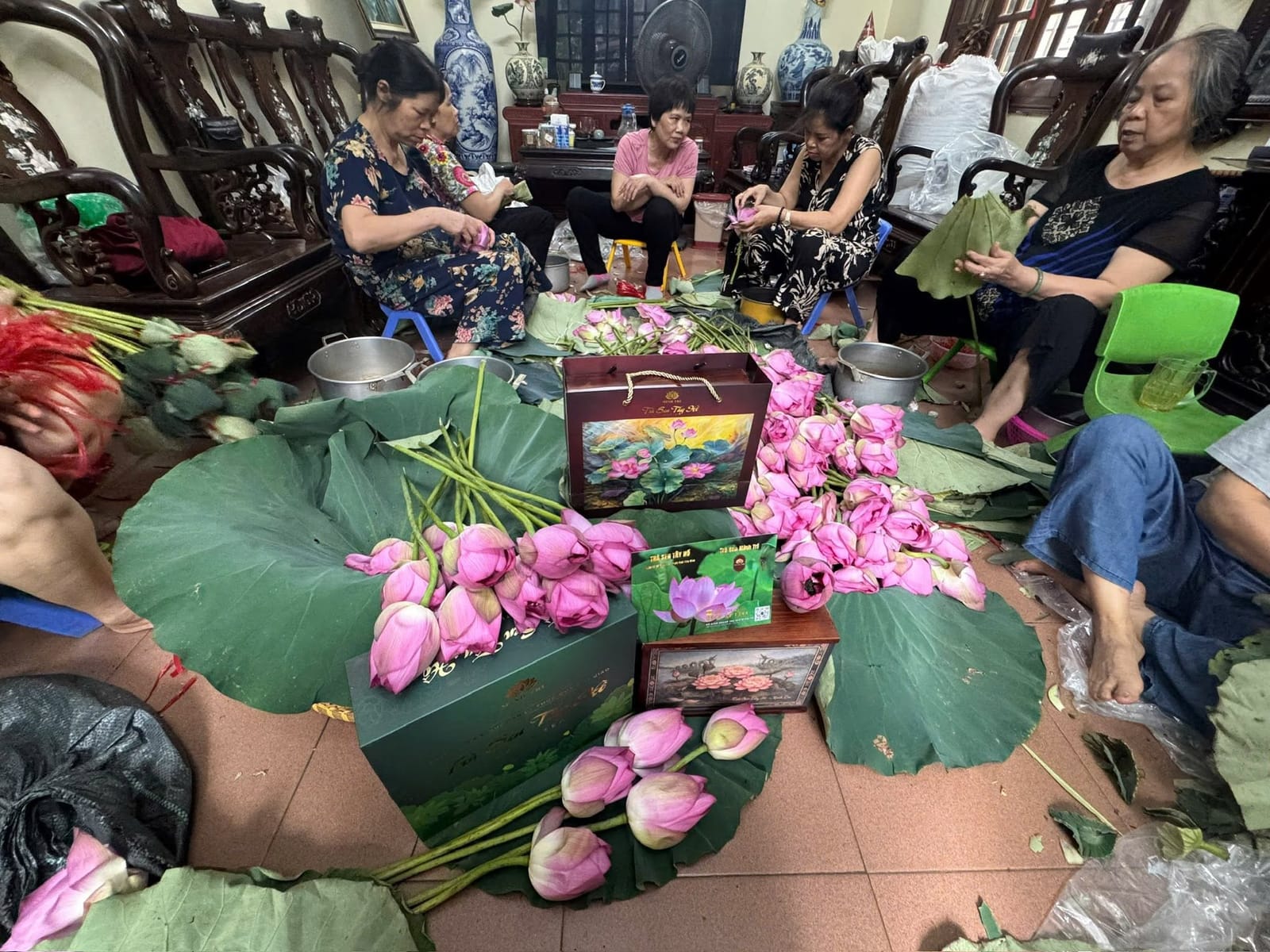 Cả nhà cùng làm giữa mùa sen